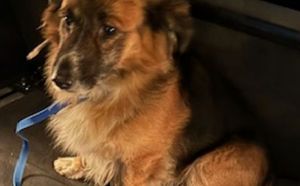 1.01.2026 r. Slowackiego. S