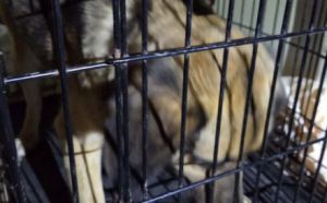 1.04.2026 r. Moniuszki S