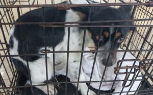 10.01.2026 r. Rodziny Winczewskich L