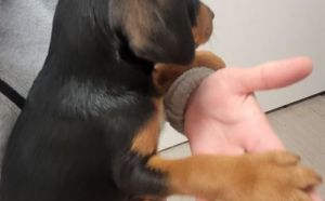 12.12.2025 r. Maratonska S