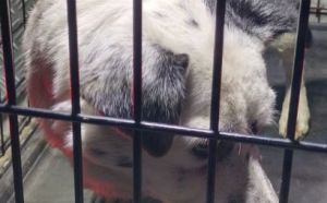 14.11.2025 r. Przytycka S