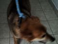 15.05.2025 r. Osadnicza S