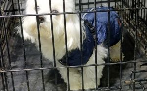 16.02.2026 r. Paderewskiego S