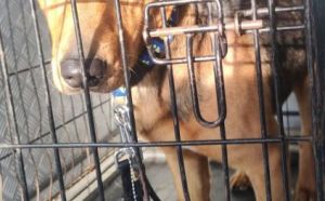 17.12.2025 r. Zwirki i Wigury S