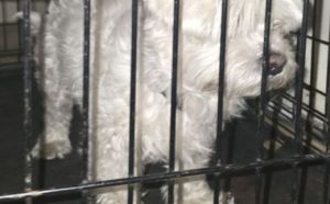 18.03.2026 r. Mroza S