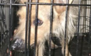 18.03.2026 r. Nowacia S