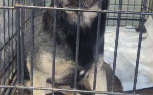 19.11.2025 r. Osiedlowa S