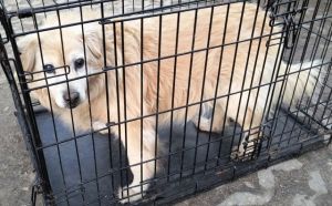 2.03.2026 r. Aleksandrowicza S