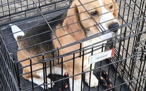 2.03.2026 r. Rapackiego S