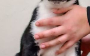 2.12.2025 r. Witosa S