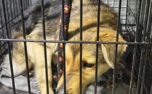 21.3.2026 r. Wojska Polskiego S