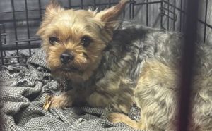 22.03.2026 r. Szeroka Droga S