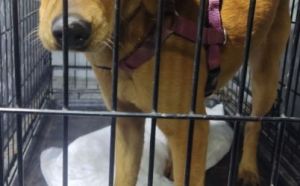 22.11.2025 r. Wernera S