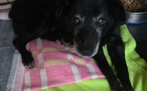 23.02.2026 r. Kielecka S