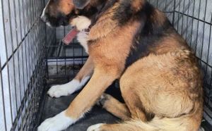 23.03.2026 r. Kolejowa S