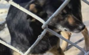 23.03.2026 r. Ofiar Firleja S