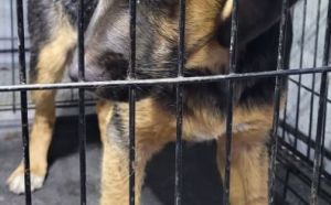 23.12.2025 r. Czynu Chlopskiego S