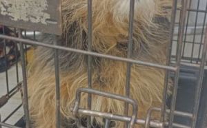 24.04.2026 r. Wyscigowa S