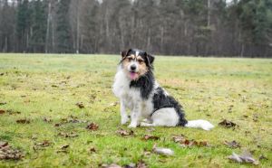 25.11 - Grota Roweckiego