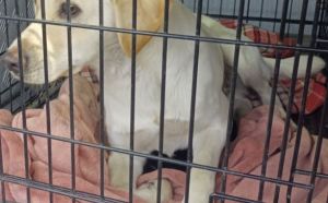 29.10.2025 r. Ofiar Firleja S