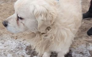 29.12.2025 r. Janiszewska S