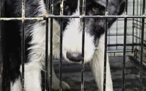 3.02.2026 r. Polna S