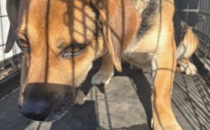 3.03.2026 r. Ofiar Firleja. S