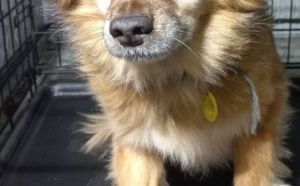 31.10.2025 r. Nowofolwarczna S