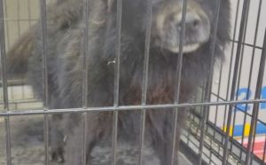 4.12.2025 r. Drzymaly S