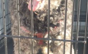 6.11.2025 r. Moniuszki S