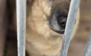 7.04.2026 r. Wycecha S