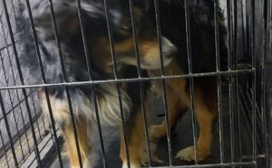 8.03.2026 r. Energetykow S