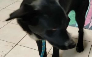 9.11.2025 r. Zagloby S